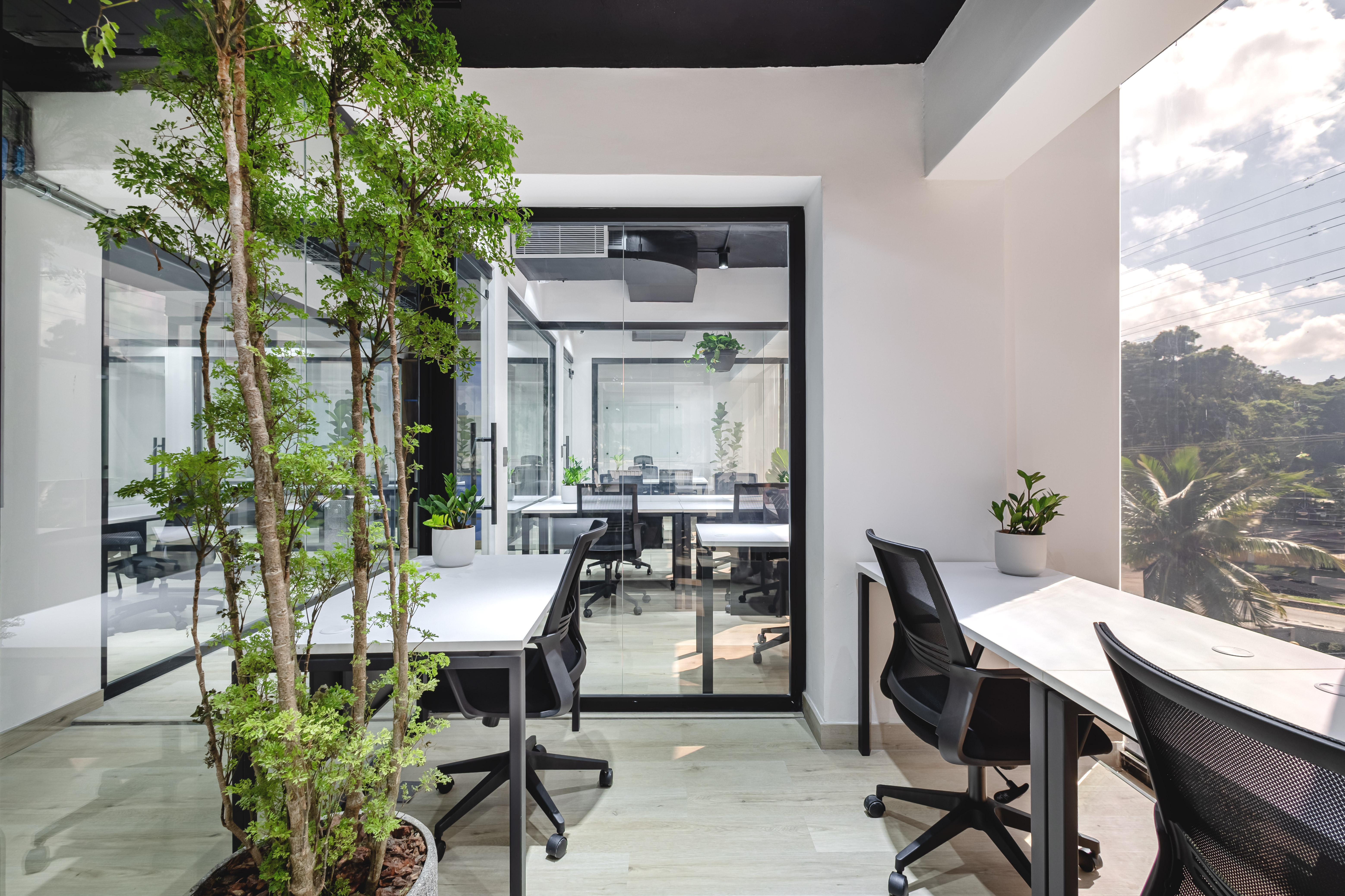 Proyecto de arquitectura y paisajismo 10