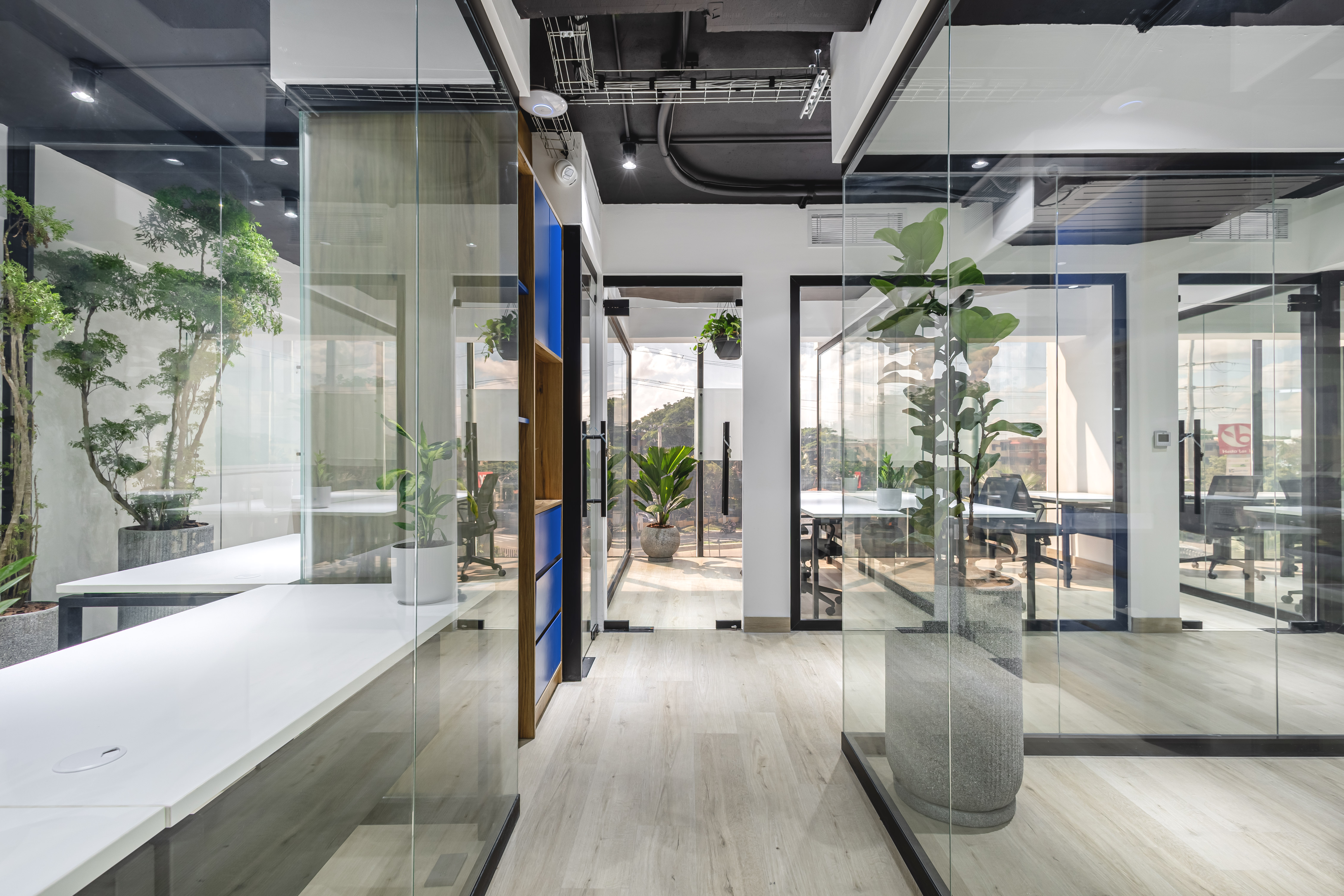 Proyecto de arquitectura y paisajismo 7